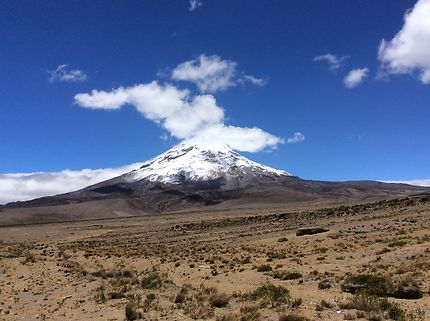 Le Chimborazo, volcan et glacier, Équateur