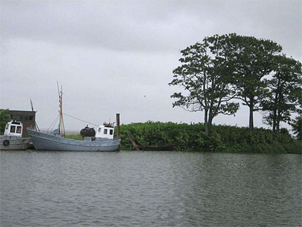 Bateaux de pèche dans la presqu'ile de Courlande