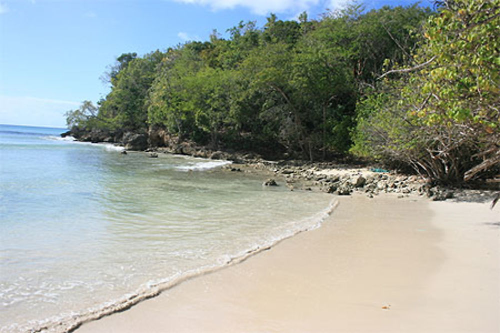 La plage de Moustique