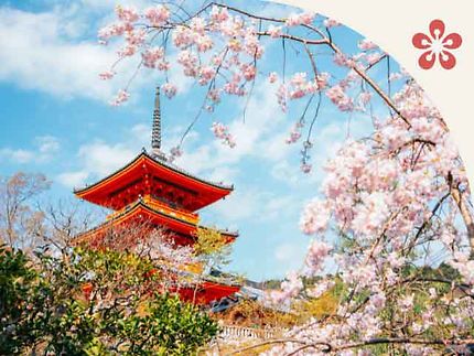 Voyage au Japon, entre traditions et modernité
