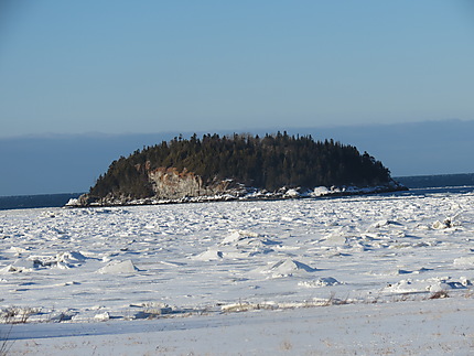 Paysage Parc du Bic