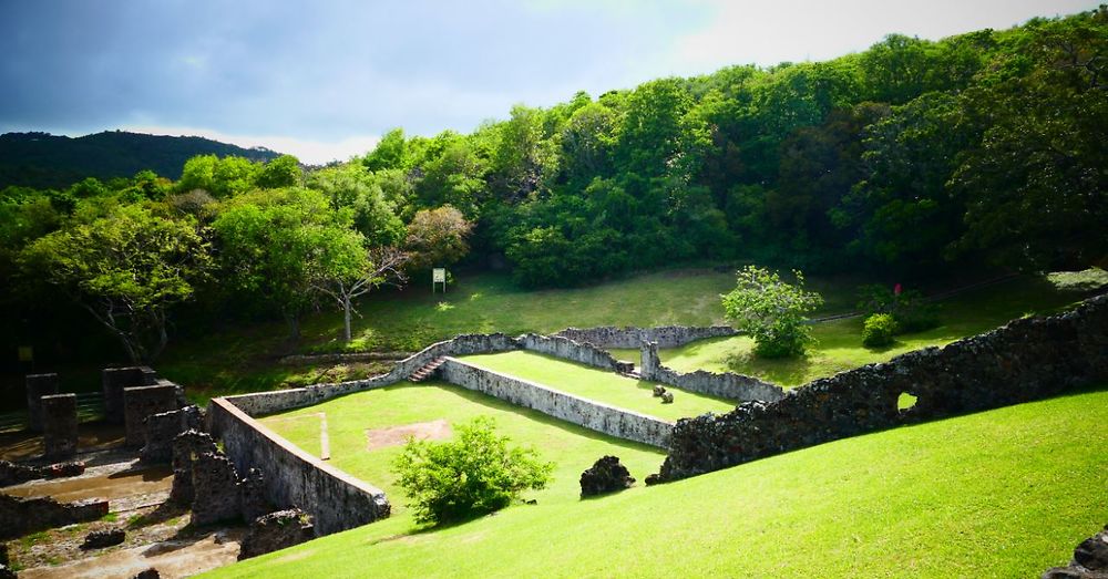 Ruines du Château Dubuc