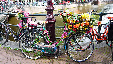Vélo fleuri Amsterdam