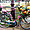 Vélo fleuri Amsterdam