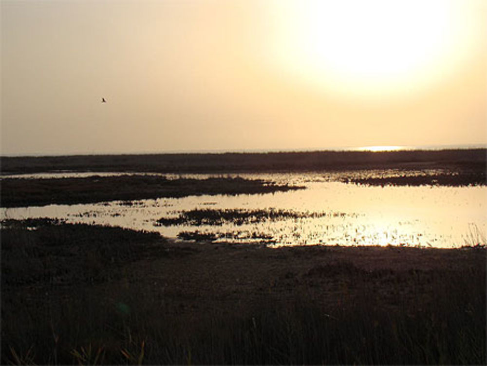 Coucher de soleil sur le Vaccarès