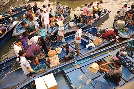 Pécheurs Beihai Guangxi Chine Pécheurs Beihai Guangxi Chine