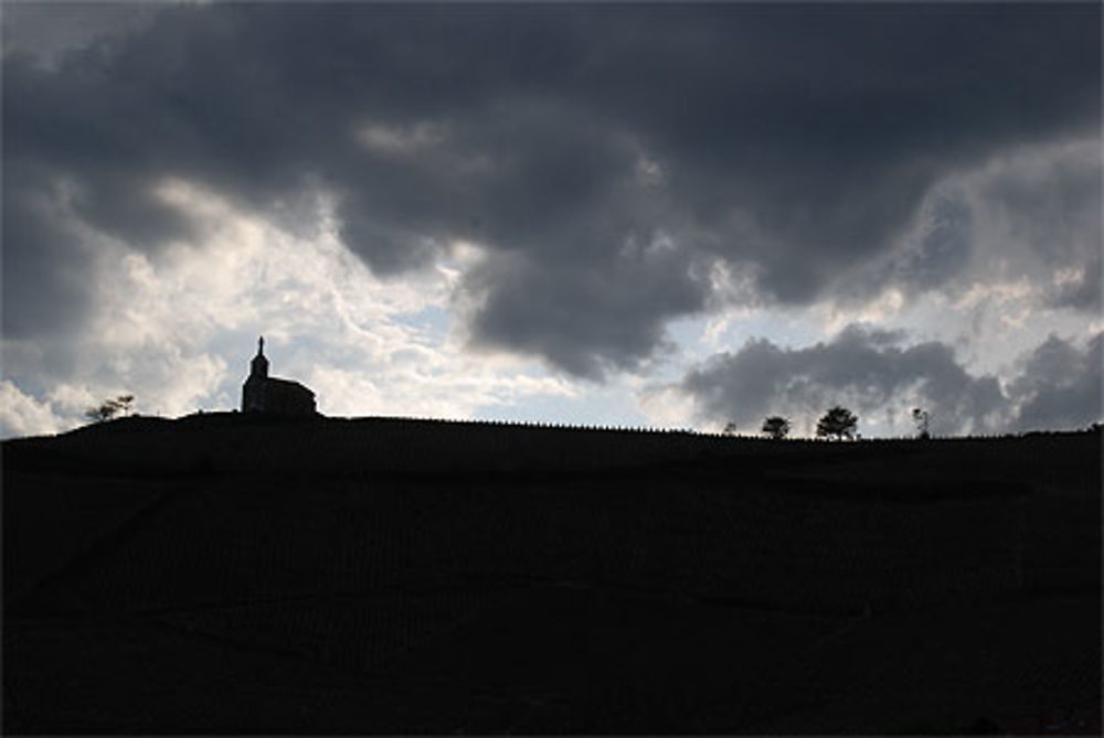 Hauteurs de Fleurie