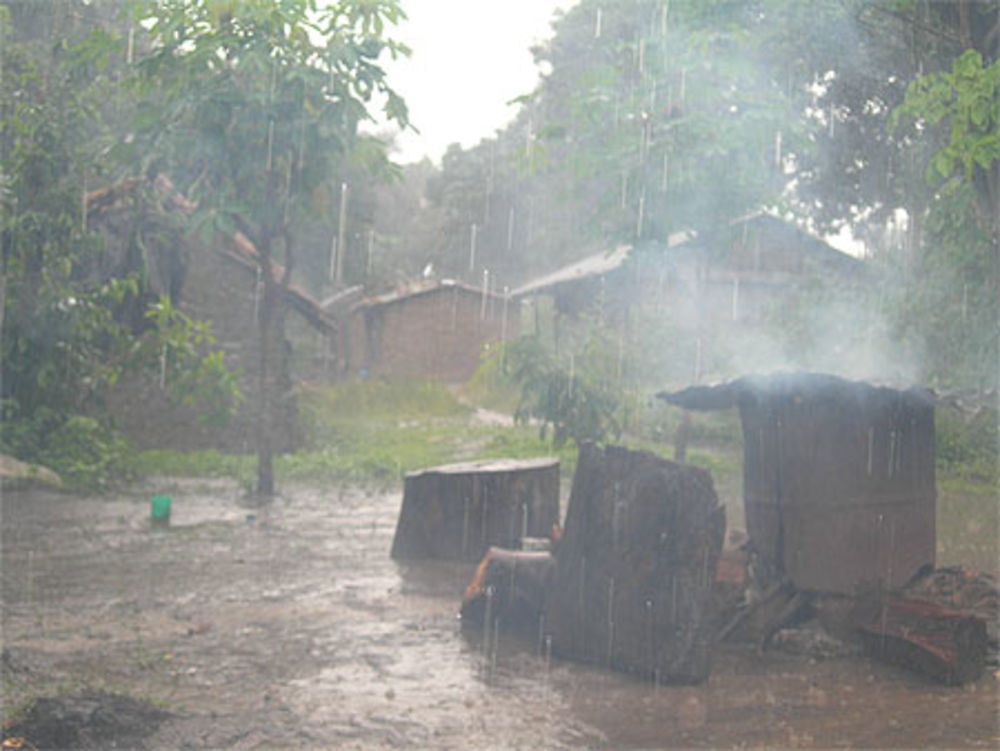 Pluie en brousse