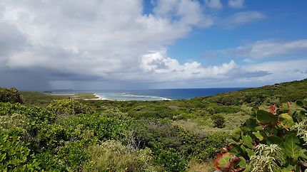 Route de la Pointe des Châteaux, Guadeloupe