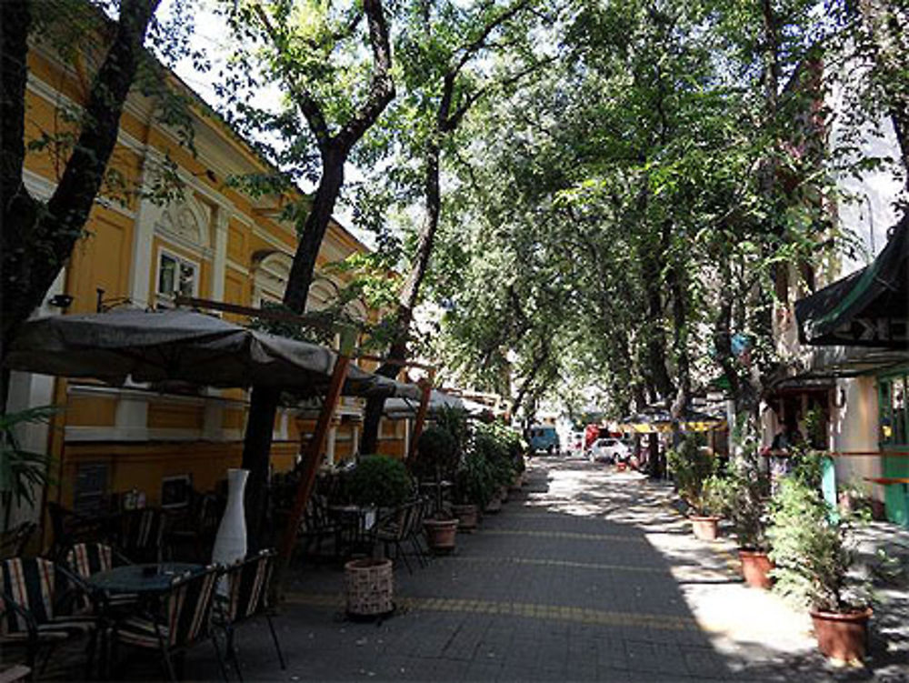 Rue piétonne, Subotica, Serbie