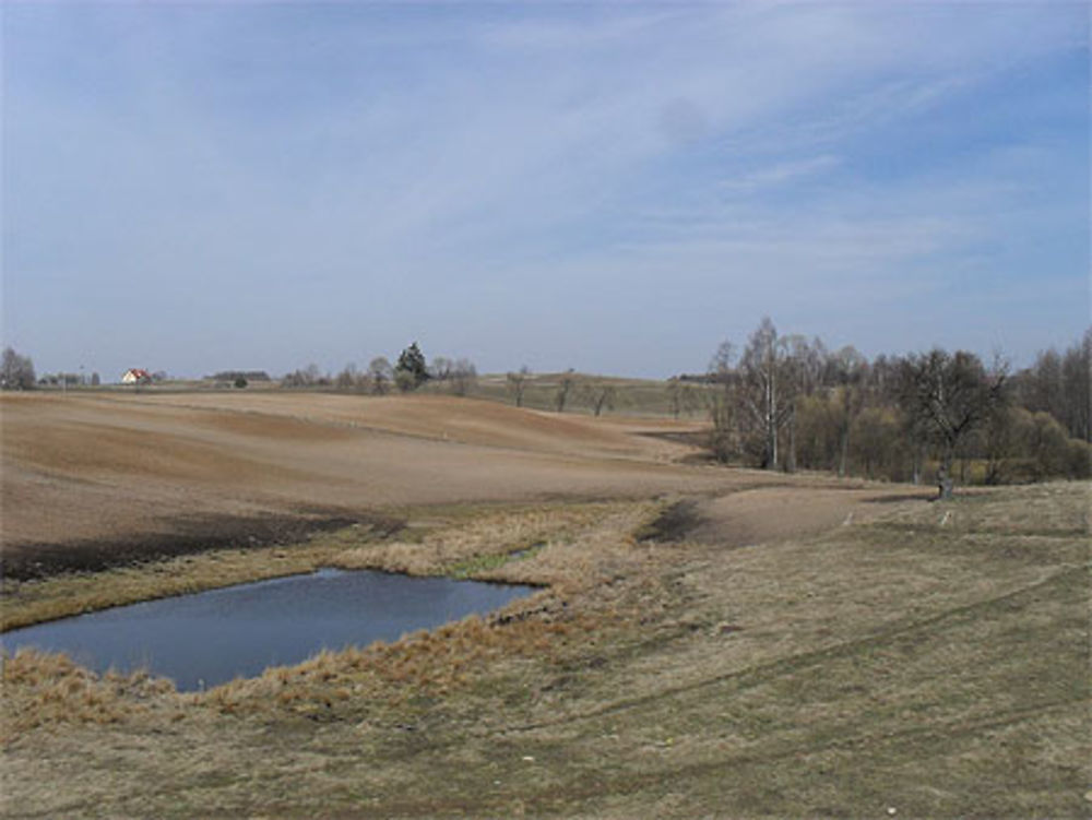 Paysage de la Dzukija