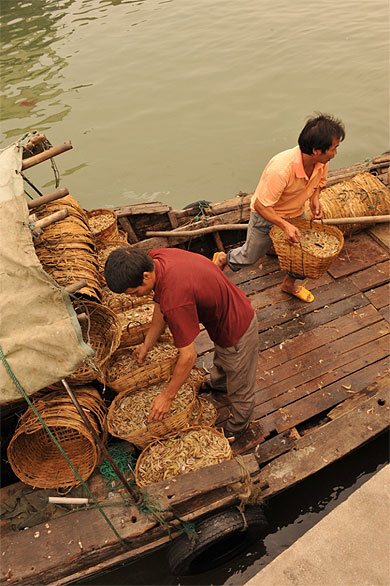 Pécheurs Beihai Guangxi Chine Pécheurs Beihai Guangxi Chine
