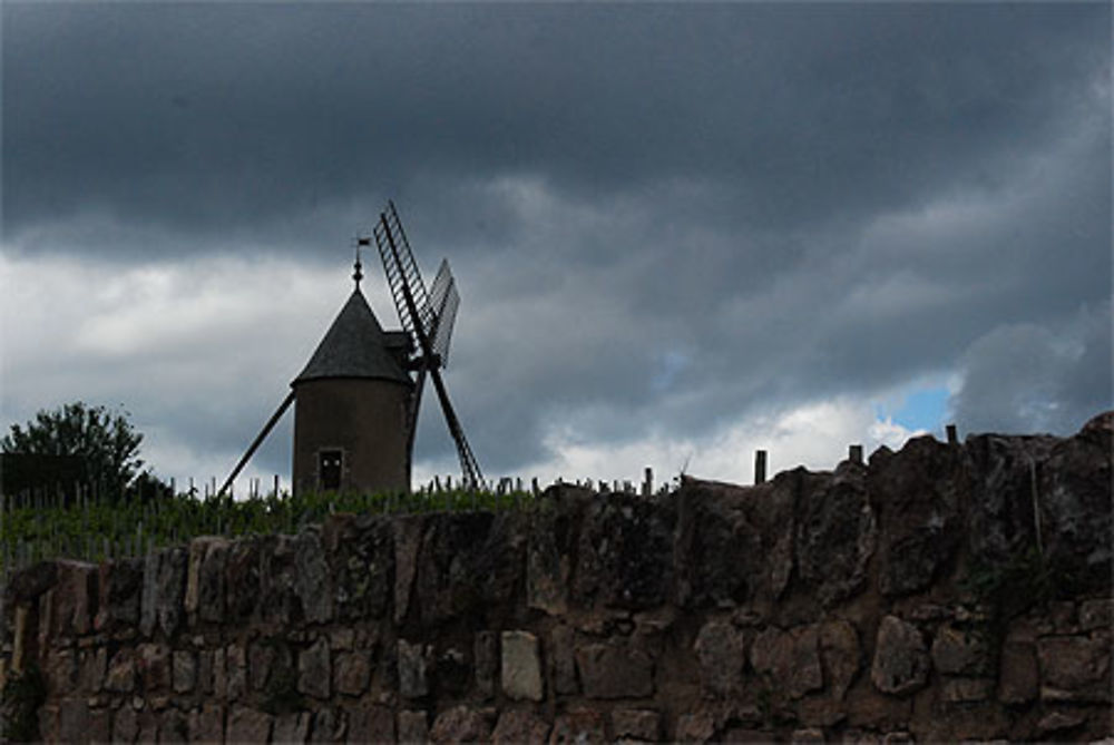 Le Moulin à vent du Beaujolais