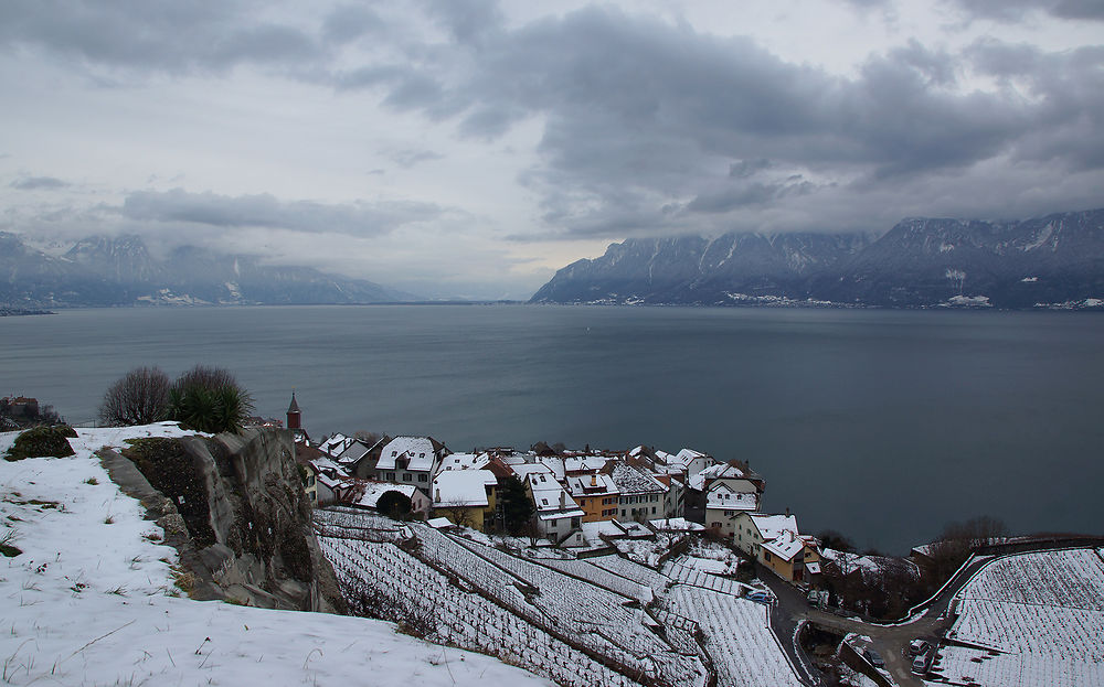 Rivaz dans le Lavaux