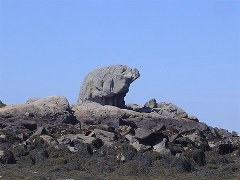 Le rocher de l'éléphant