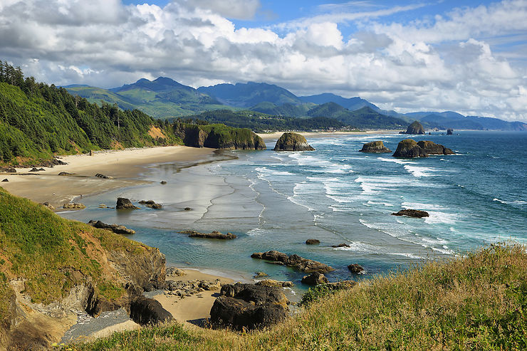 Highway 101 : une corniche sur le Pacifique