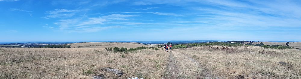 Plateau de l'Aubrac