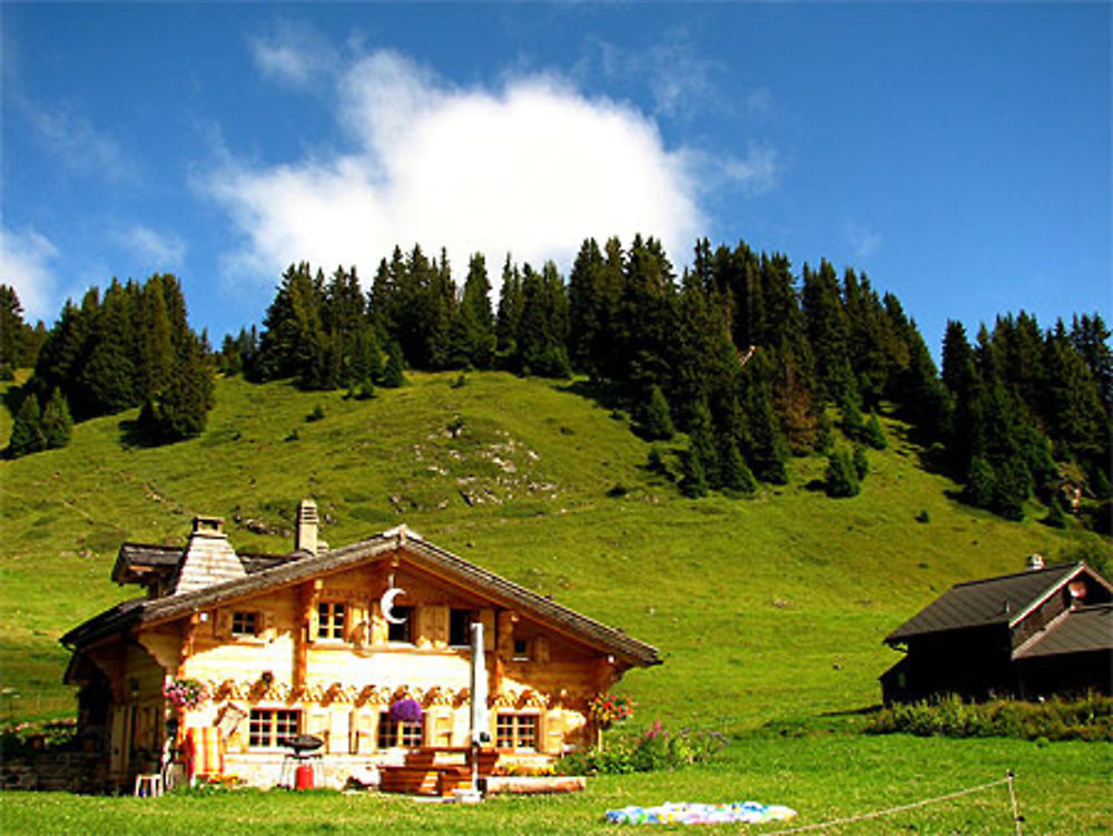 Petite maison dans la prairie