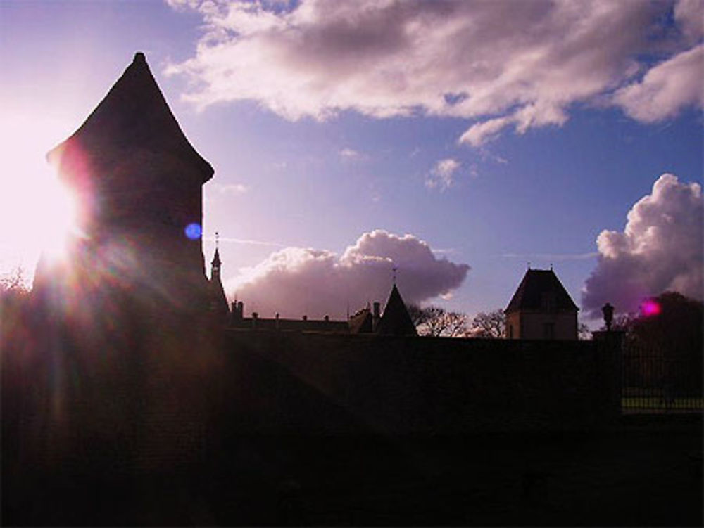 Château de Commarin