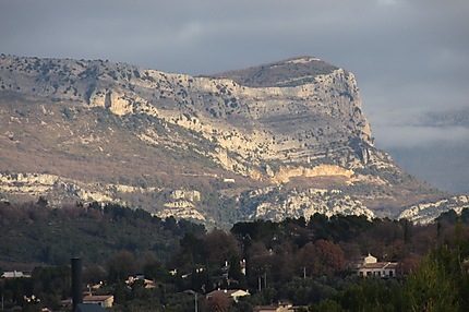 Opio
