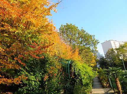 Le jardin des Couronnes en automne