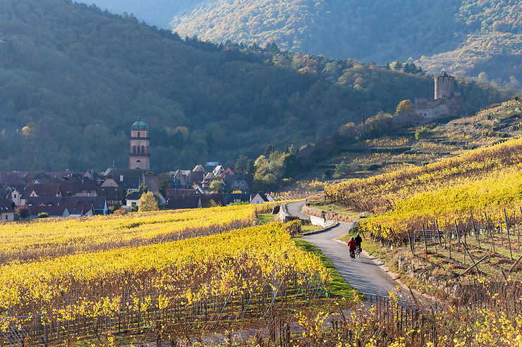La véloroute du vignoble d'Alsace 