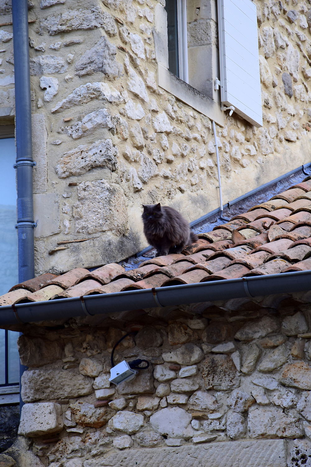 Habitant de La Garde-Adhémar