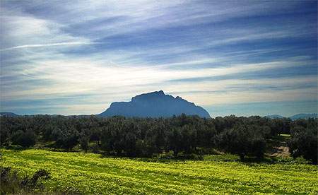 Djebel Rsas