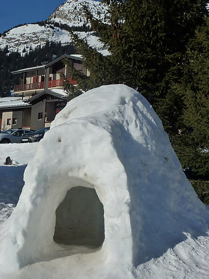 Igloo