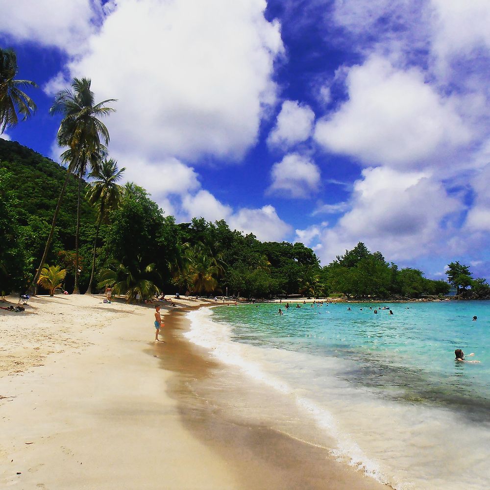 Anse Figuier