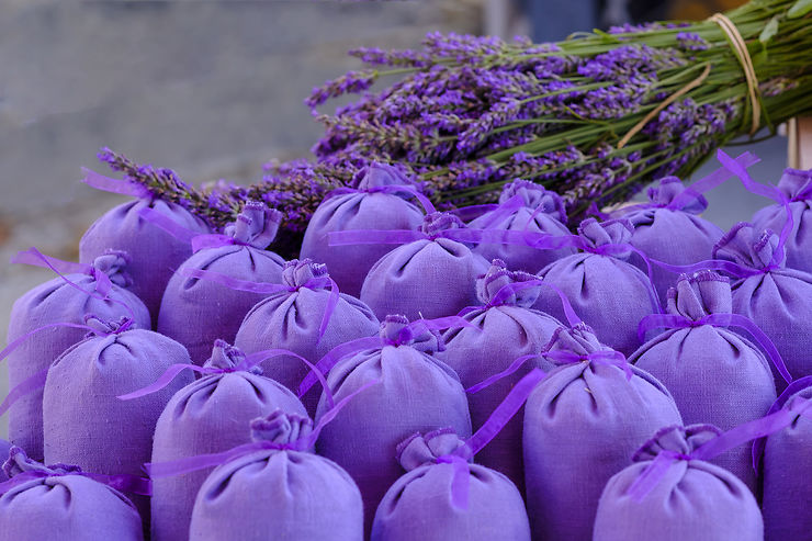 Provence - Digne-les-Bains : un mois d'août aux couleurs de la lavande
