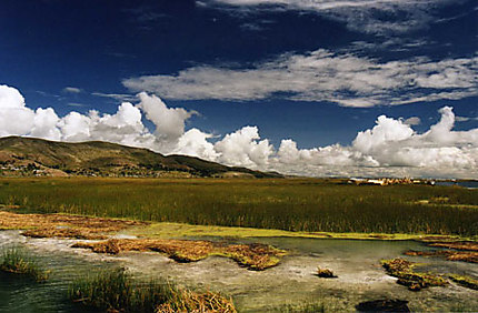 Rives du lac Titicaca