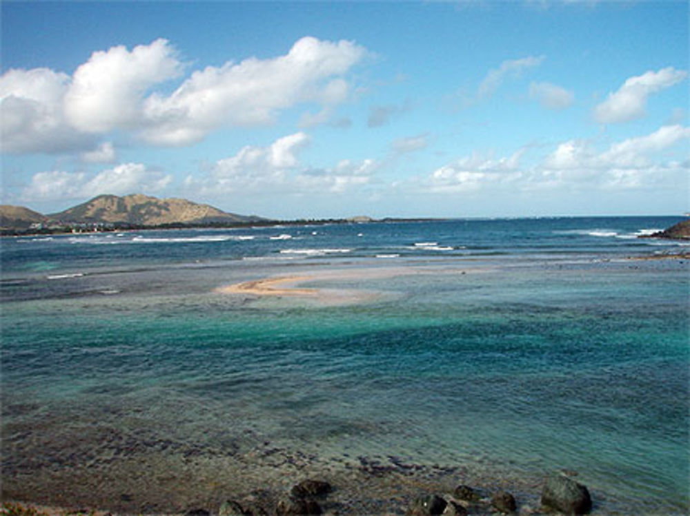 Oyster pond