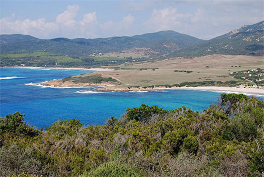 Capo di Feno