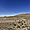 Une vue de l'Altiplano