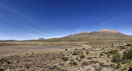 Une vue de l'Altiplano