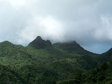 Sommets d'El Yunque Sommets d'El Yunque