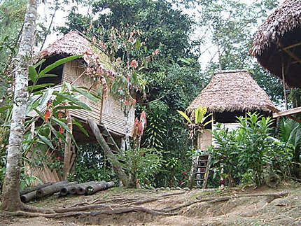 Cases dans l'Amazonie équatorienne