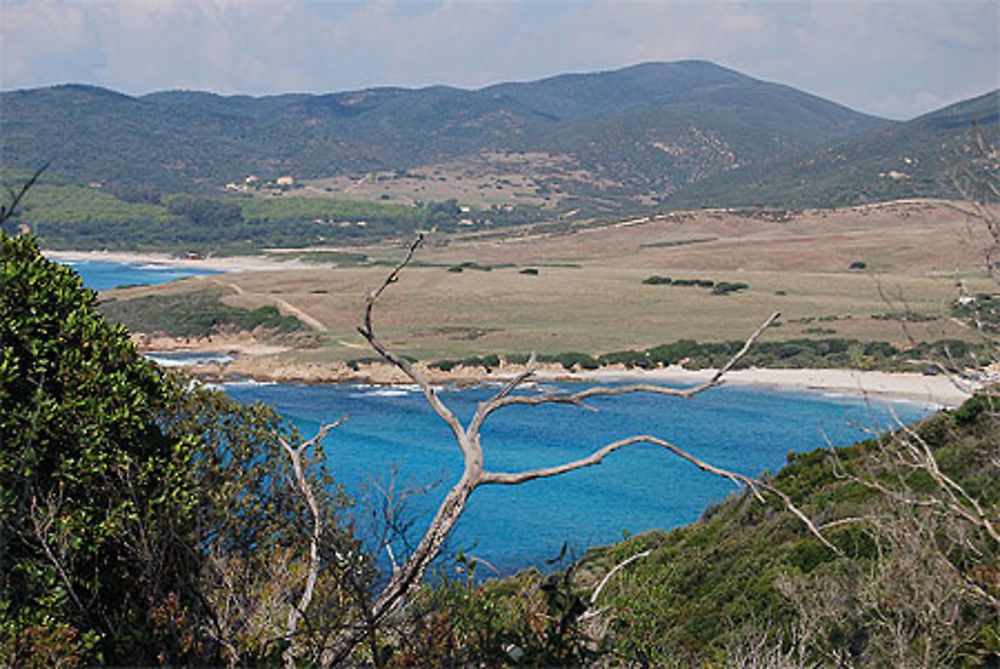 Capo di Feno