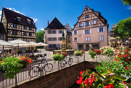Alsace, nos coups de cœur 
