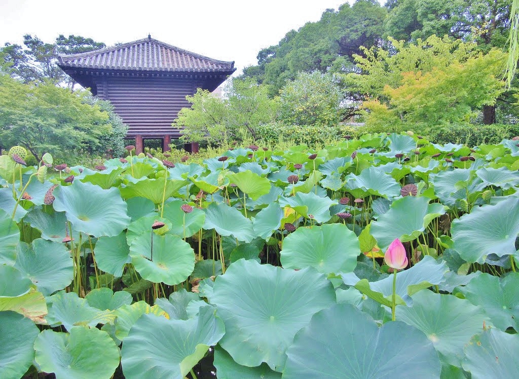 Kyoto -Toji Kyoto -Toji