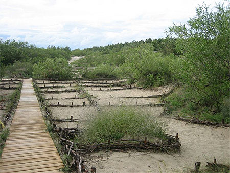 Promenades aménagées dans les dunes à Palanga Promenades aménagées dans les dunes à Palanga