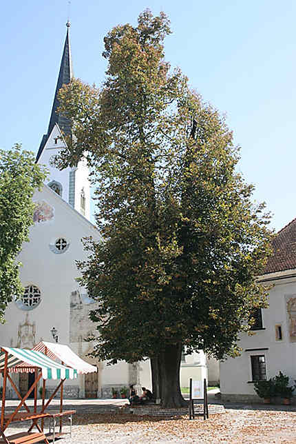 L'église de Radovljica