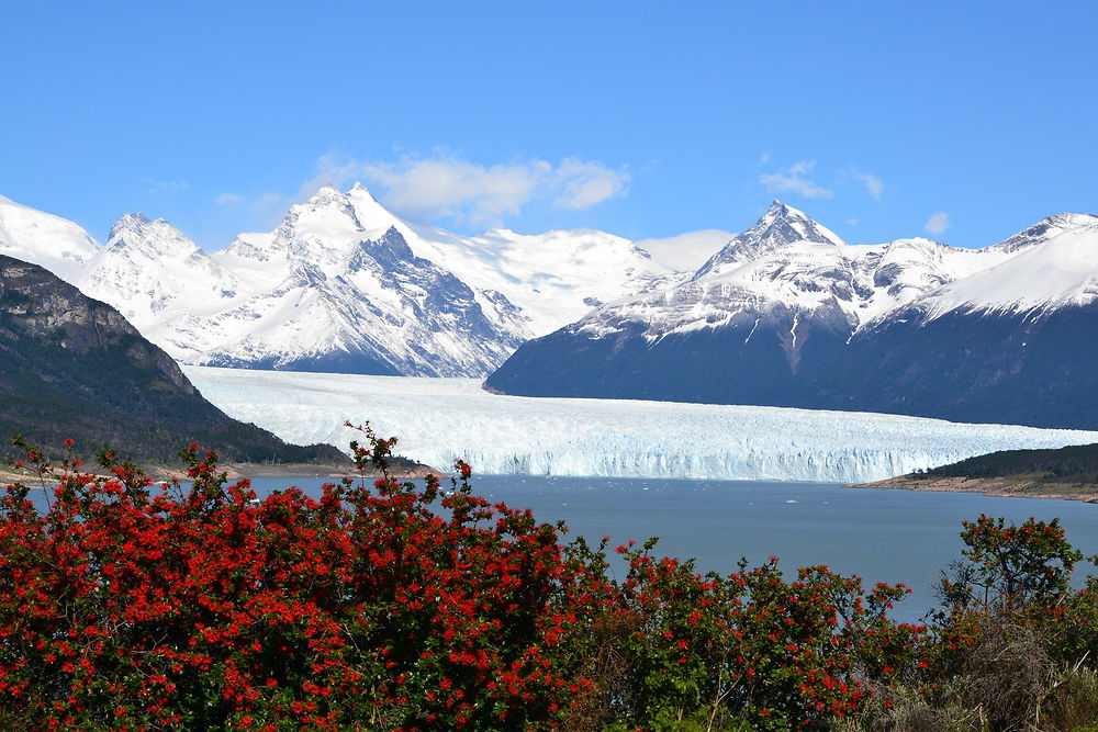 Perito Moreno