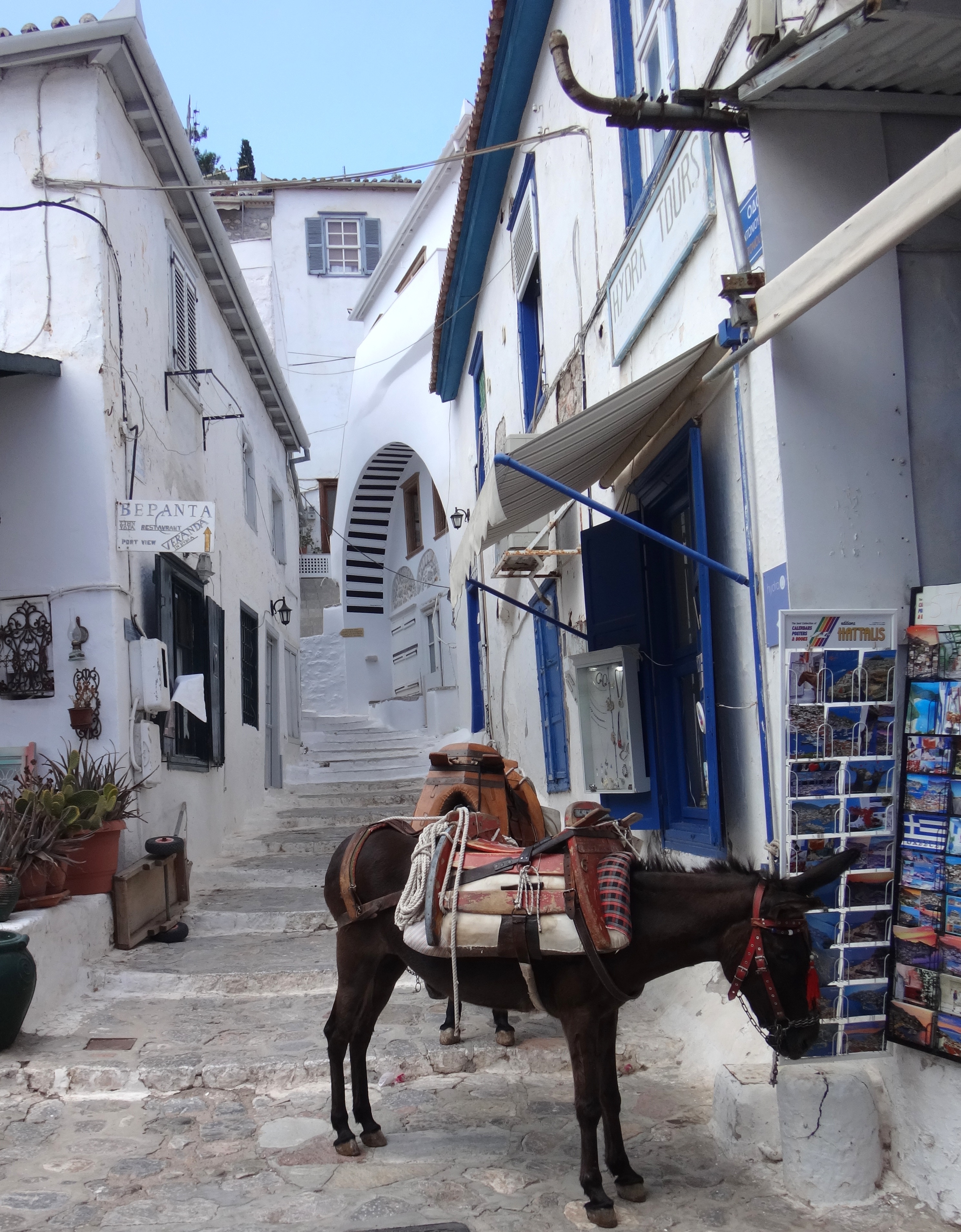 Un âne d'Hydra Un âne d'Hydra