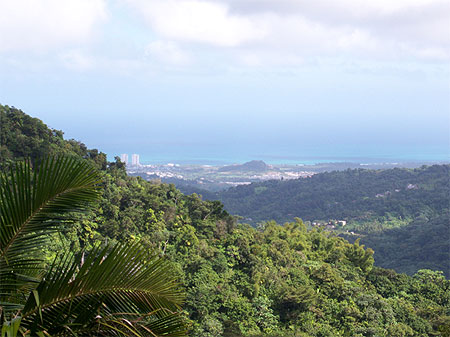 Vue des sommets d'El Yunque Vue des sommets d'El Yunque
