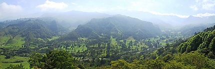 Vallée de Cocora