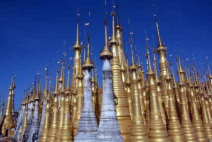 Forêt de pagodons