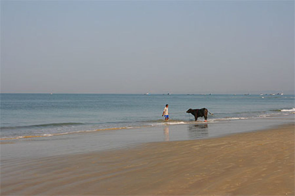 Plage de Colva