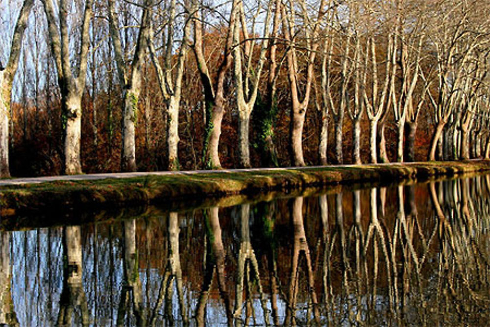 Canal du Midi